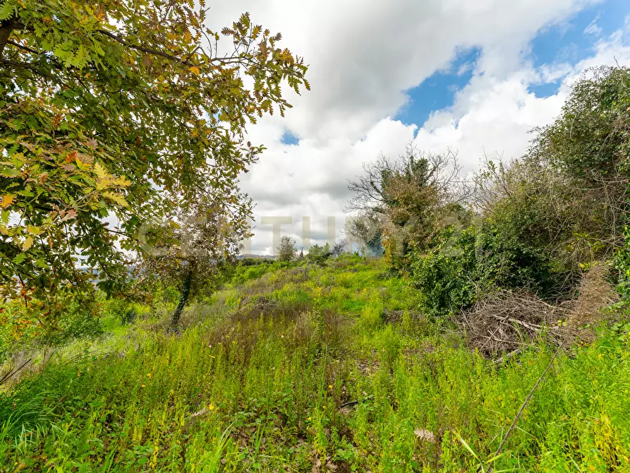 Immagine 26 di Terreno agricolo in vendita  in via giuseppe zinghirino 1 a Giarre