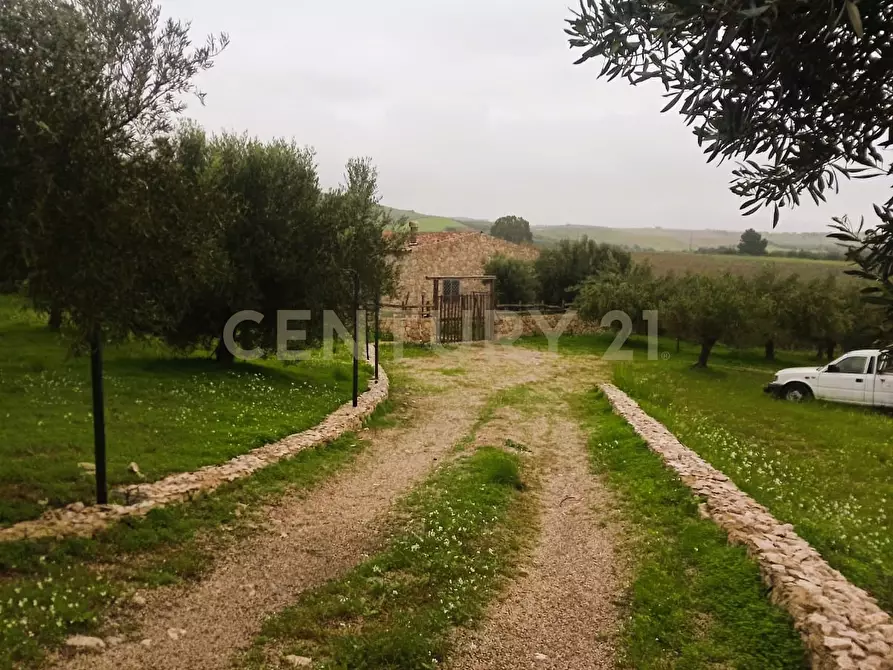 Immagine 8 di Terreno agricolo in vendita  in Contrada Masseria Grande SNC a Centuripe