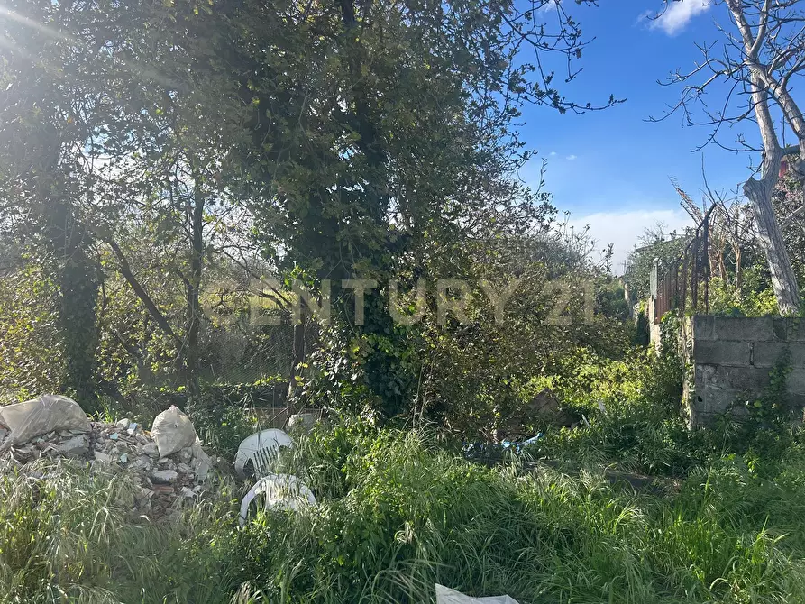 Immagine 7 di Terreno edificabile in vendita  in Via Giacomo Puccini 44 a Mascalucia