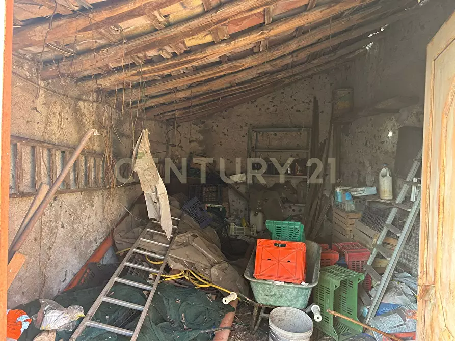 Immagine 9 di Terreno agricolo in vendita  in Via Giovanni Verga 1/A a Misterbianco