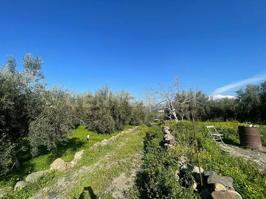 Immagine 44 di Terreno agricolo in vendita  in contrada agnelleria a Belpasso