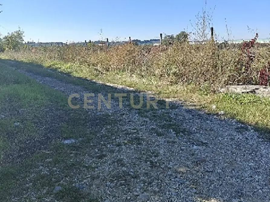 Immagine 6 di Terreno agricolo in vendita  in Via Siberie a Sommacampagna