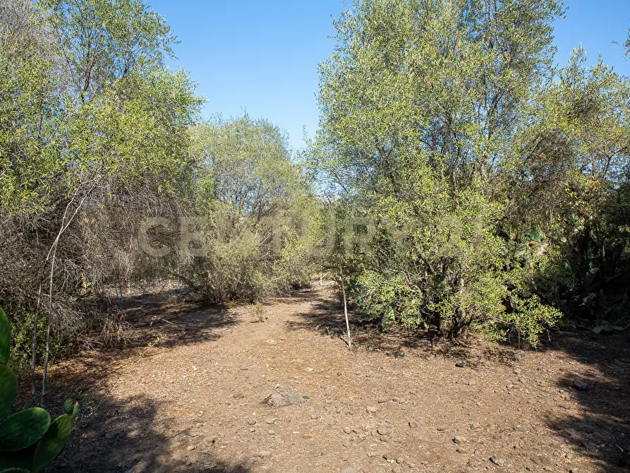 Immagine 18 di Terreno edificabile in vendita  in CONTRA FURERIA snc a Belpasso