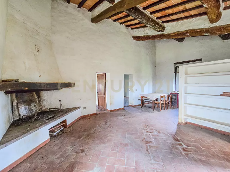 Immagine 21 di Rustico / casale in vendita  in Vial podere nuovo snc a Civitella Paganico
