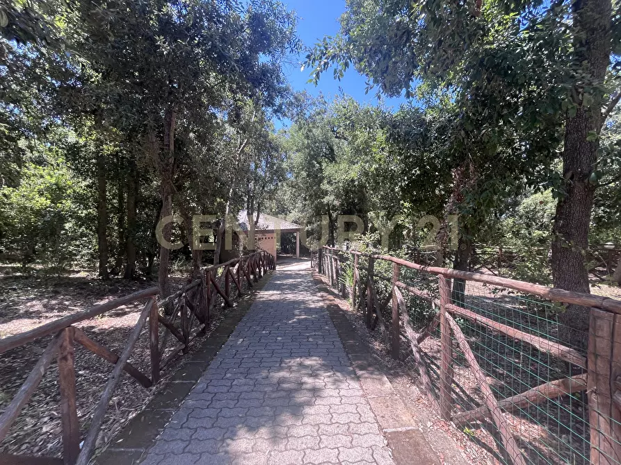 Immagine 16 di Trilocale in vendita  in Via Cala del Pozzo 12 a Castiglione Della Pescaia