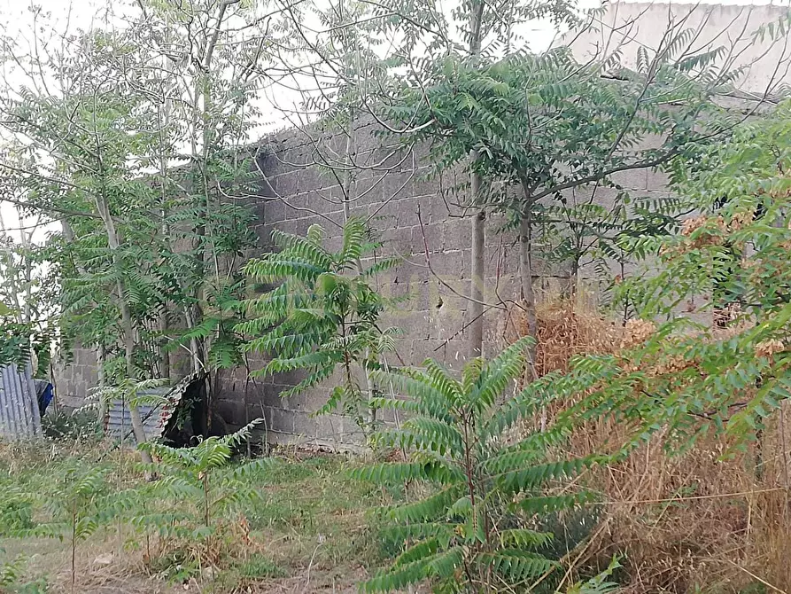 Immagine 7 di Terreno agricolo in vendita  in Contrada Piano Cannata Balatazza a Piazza Armerina