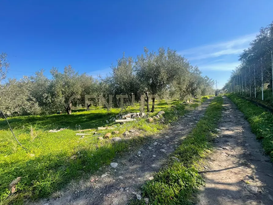 Immagine 54 di Terreno agricolo in vendita  in contrada agnelleria a Belpasso