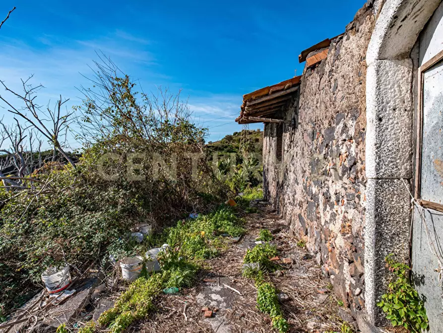 Immagine 25 di Terreno agricolo in vendita  in Via Vampolieri a Aci Castello