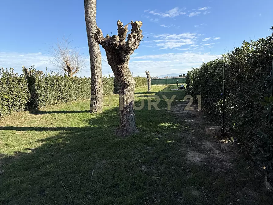 Immagine 47 di Pentalocale in vendita  in Strada della Principina 2 a Grosseto