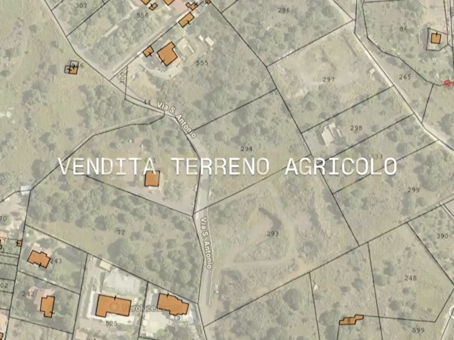 Immagine 1 di Terreno agricolo in vendita  in Via San Antonio 2 a Camporotondo Etneo