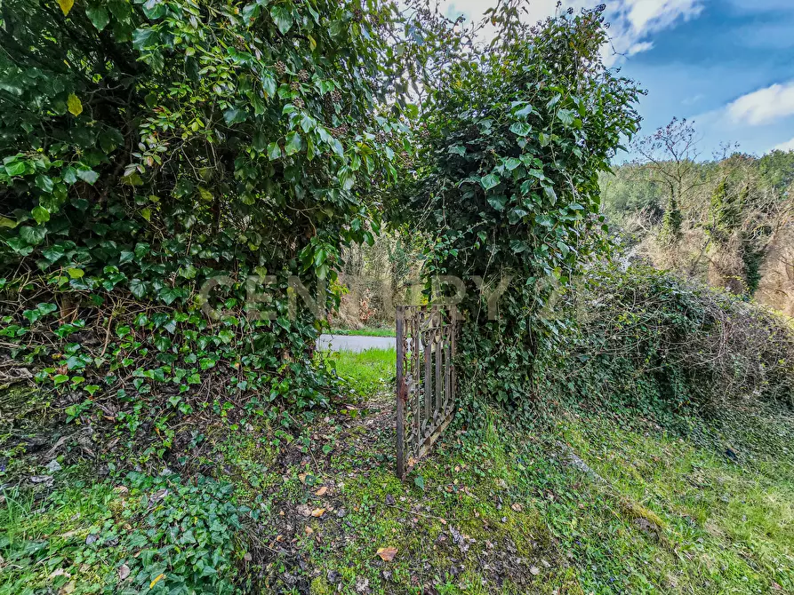 Immagine 27 di Rustico / casale in vendita  in Strada Provinciale 7 a Cinigiano