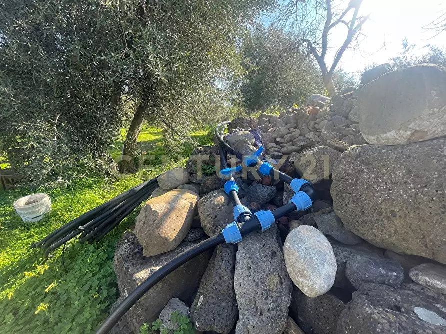 Immagine 38 di Terreno agricolo in vendita  in contrada agnelleria a Belpasso