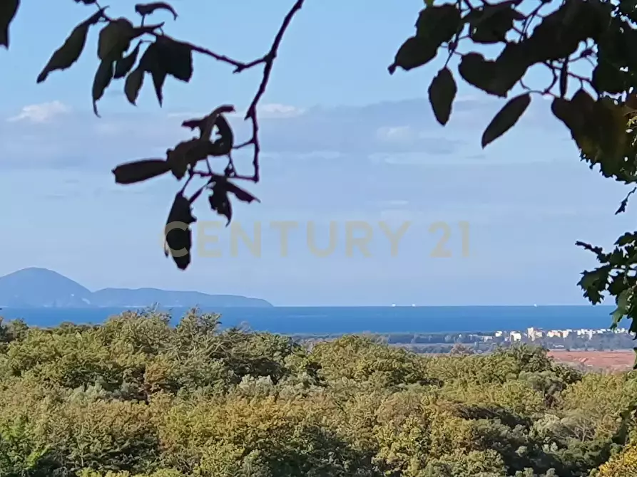 Immagine 10 di Rustico / casale in vendita  in località podere bizzarri a Scarlino