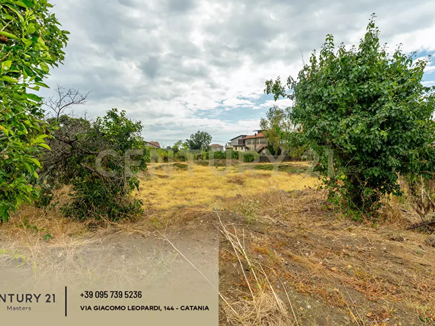 Immagine 26 di Terreno edificabile in vendita  in Via Giosuè Carducci 17 a San Giovanni La Punta