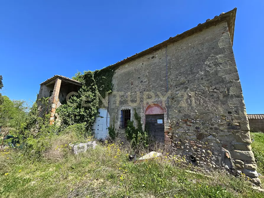 Immagine 42 di Rustico / casale in vendita  in Via di Lattaia a Roccastrada