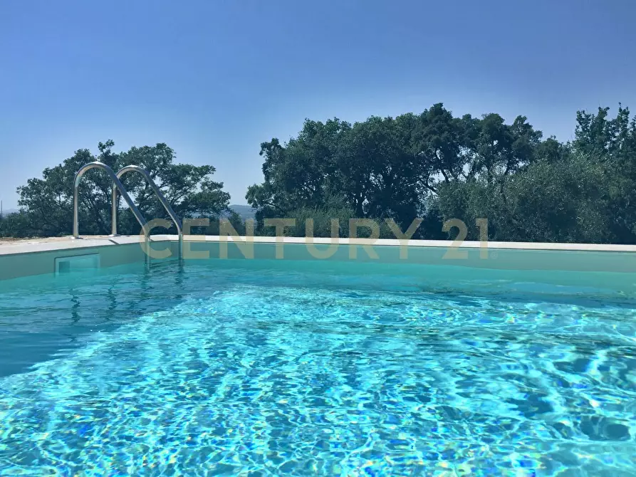 Immagine 40 di Rustico / casale in vendita  in località podere bizzarri a Scarlino