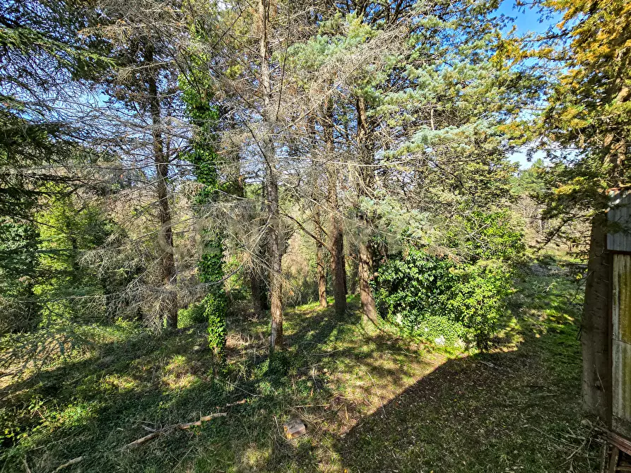 Immagine 25 di Rustico / casale in vendita  in Strada Provinciale 7 a Cinigiano