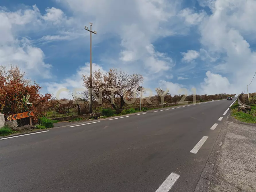 Immagine 4 di Terreno agricolo in vendita  in Via Santa Maria di Licodia a Belpasso