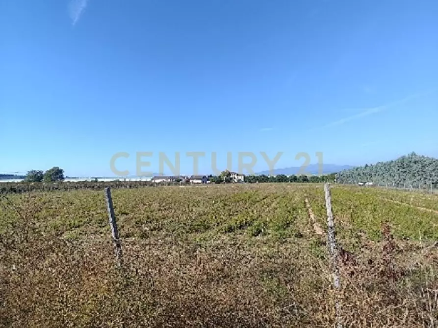 Immagine 3 di Terreno agricolo in vendita  in Via Siberie a Sommacampagna