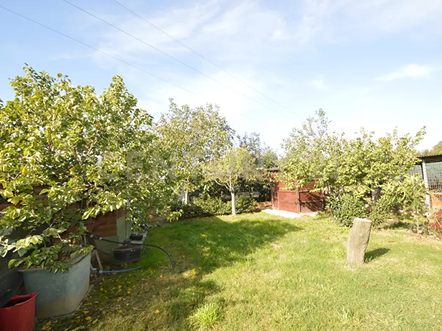 Immagine 24 di Terreno agricolo in vendita  in Via Alberto Sordi 12 a Grosseto