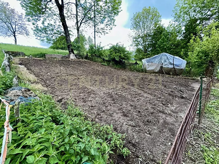 Immagine 4 di Terreno agricolo in vendita  in Contrada Tezze a Velo Veronese