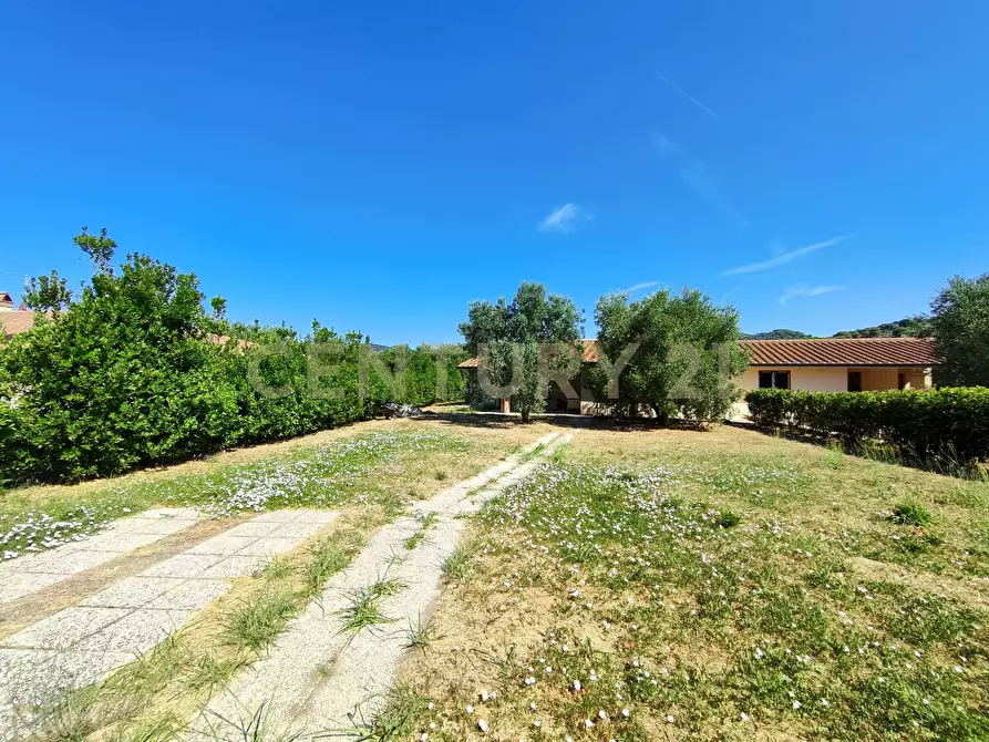 Immagine 3 di Casa bifamiliare in vendita  in Via san martino snc a Castiglione Della Pescaia