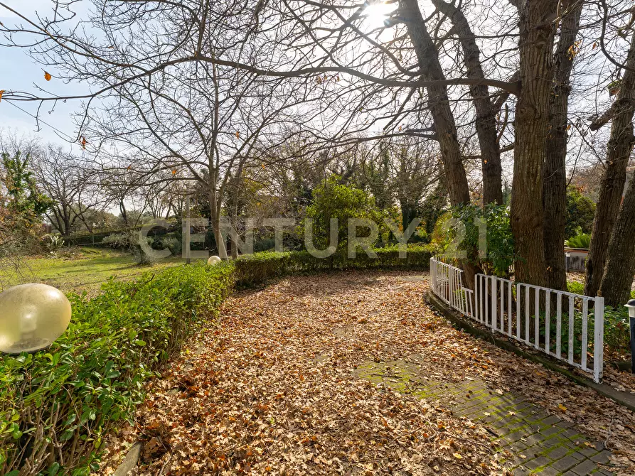 Immagine 4 di Villa in vendita  in CONTRADA ALBORETTO a Linguaglossa