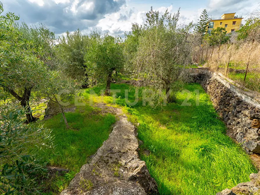 Immagine 31 di Terreno agricolo in vendita  in Via Cerza 35 a San Gregorio Di Catania