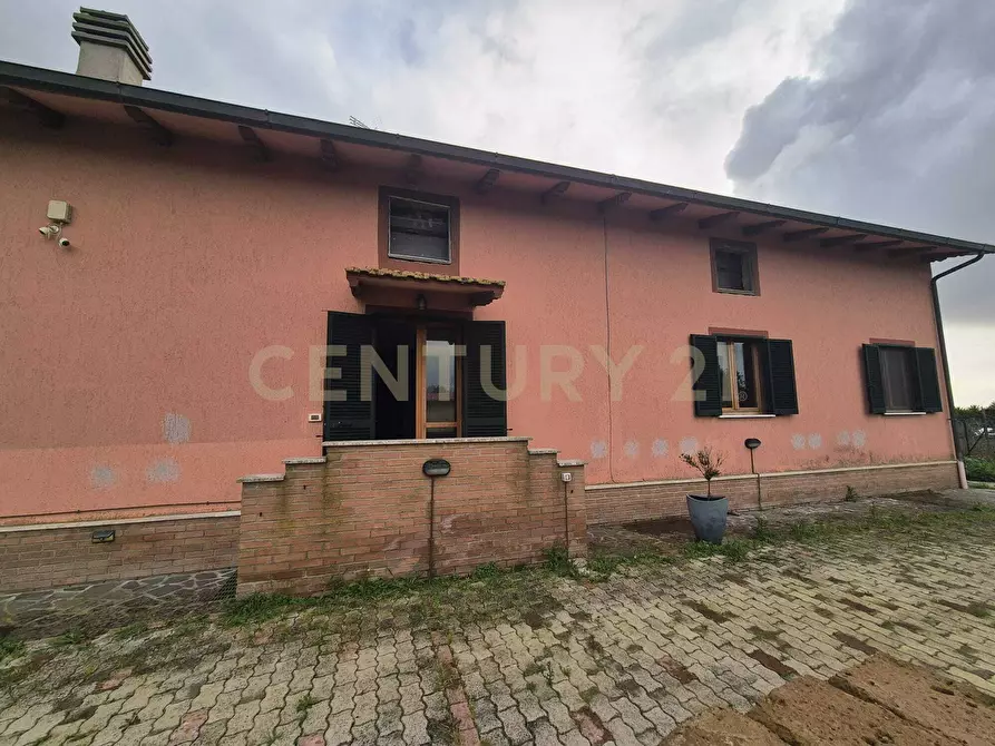 Immagine 36 di Casa indipendente in vendita  in Strada Casal Roberto 37 a Grosseto