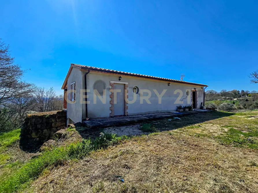 Immagine 1 di Rustico / casale in vendita  in poggio murella a Manciano