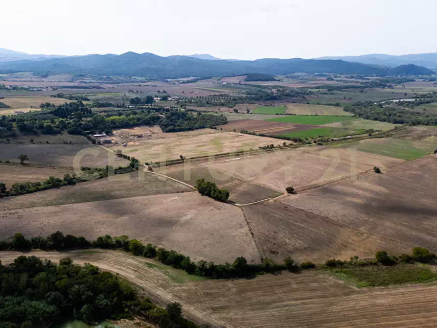 Immagine 7 di Rustico / casale in vendita  in LOCALITA PINZUTI a Manciano