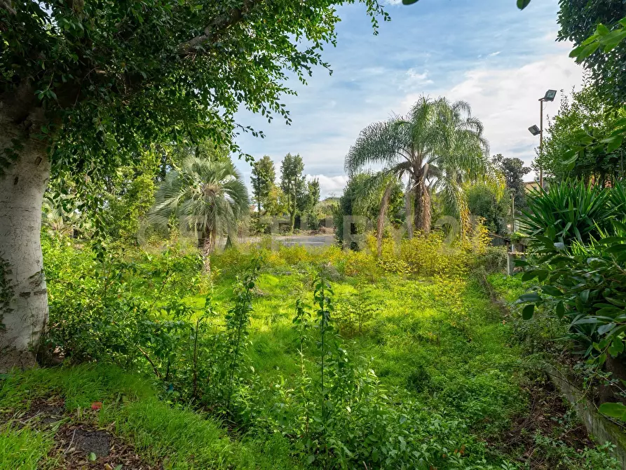 Immagine 10 di Appartamento in vendita  in Via Nuova 122 a Acireale