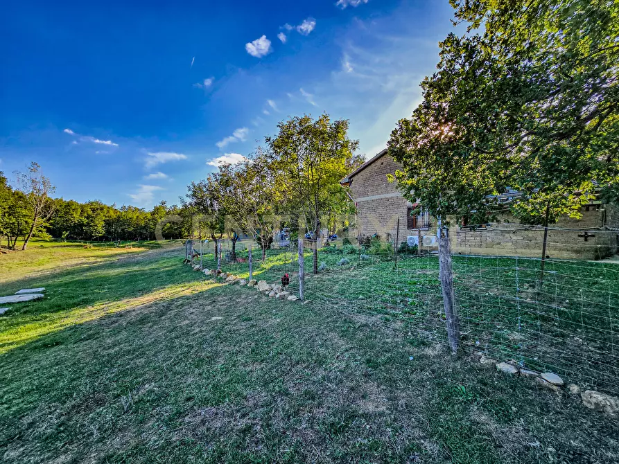 Immagine 16 di Rustico / casale in vendita  in Località Scovaventi 1 a Semproniano