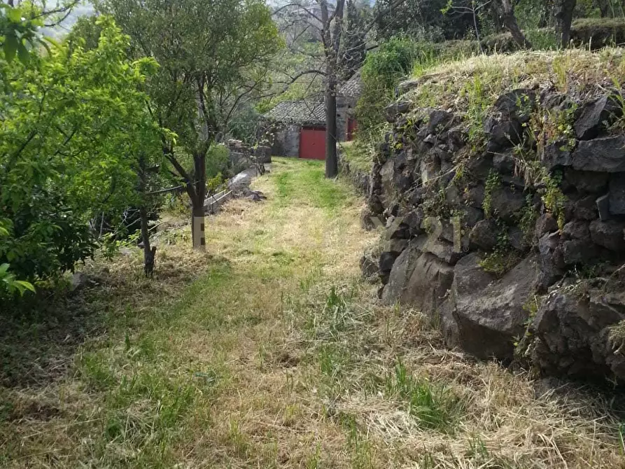 Immagine 16 di Casa bifamiliare in vendita  in Via del Santuario 26 a Giarre