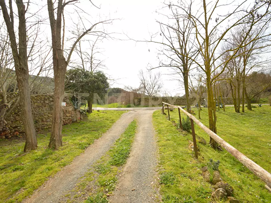 Immagine 7 di Porzione di casa in vendita  in Via Aurelia Sud 106 a Grosseto