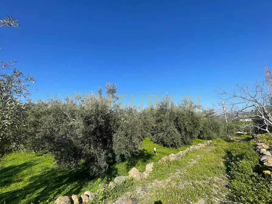 Immagine 45 di Terreno agricolo in vendita  in contrada agnelleria a Belpasso