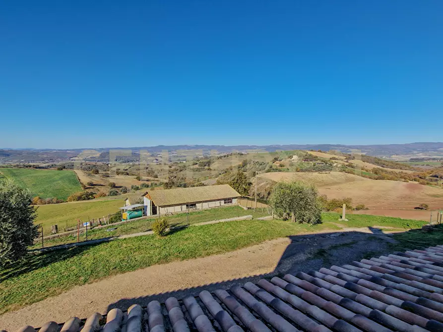 Immagine 22 di Rustico / casale in vendita  in Loc. Poderi di Montemerano a Manciano