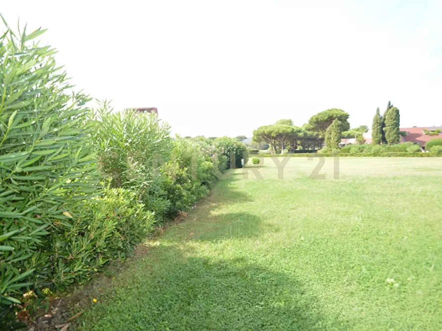 Immagine 25 di Appartamento in vendita  a Castiglione Della Pescaia