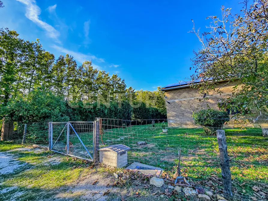 Immagine 5 di Rustico / casale in vendita  in Località Scovaventi 1 a Semproniano