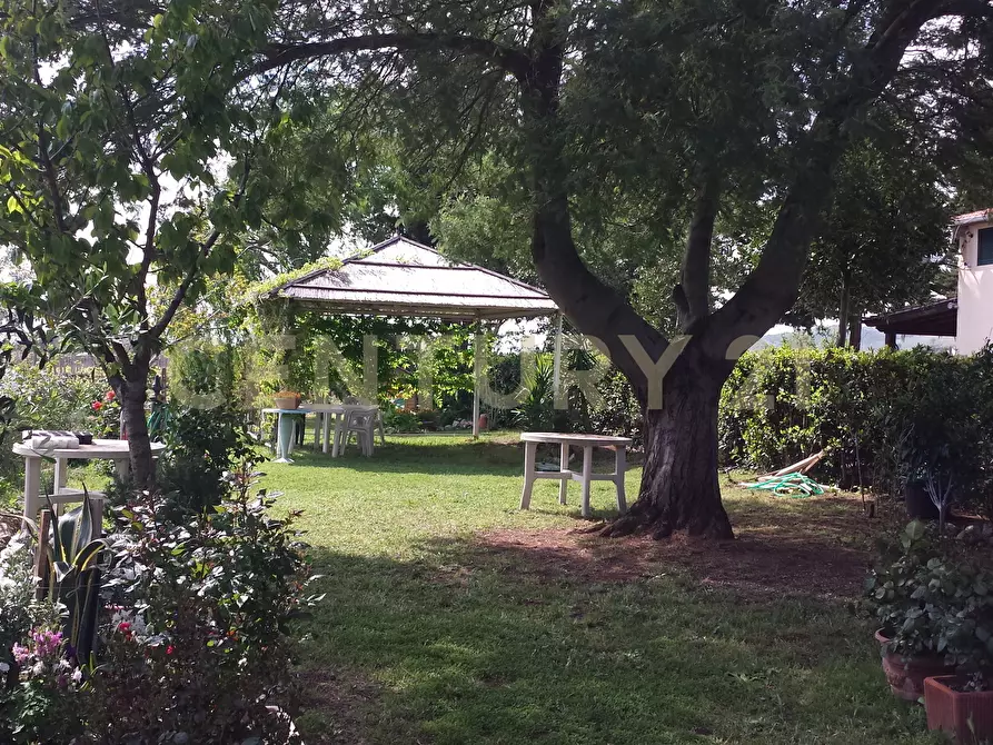 Immagine 5 di Rustico / casale in vendita  in Strada Pedemontana snc a Capalbio