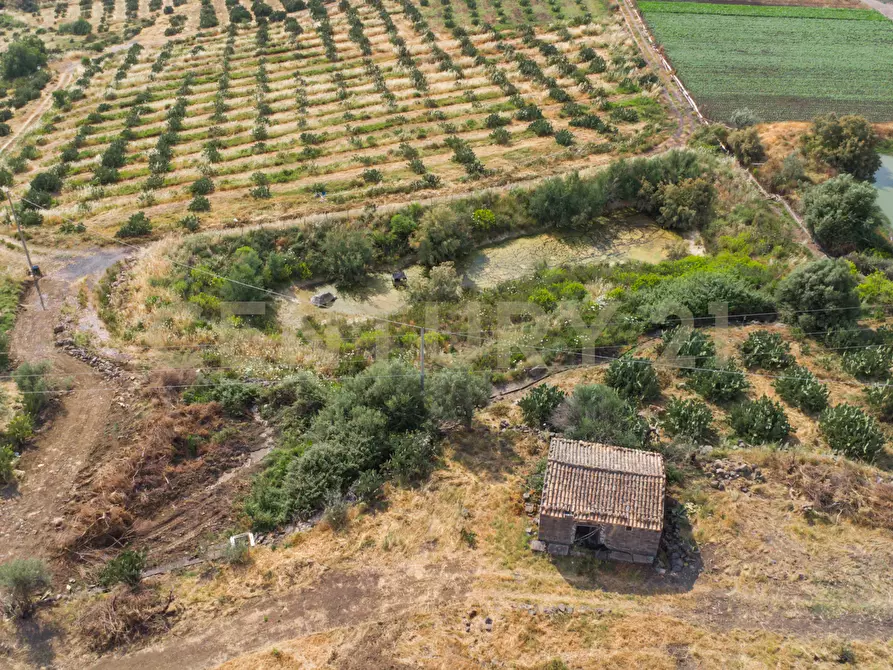 Immagine 15 di Terreno agricolo in vendita  in Via San Leo a Adrano