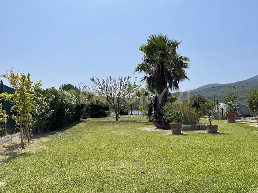 Immagine 23 di Terreno agricolo in vendita  in Strada Provinciale della Giannella a Orbetello