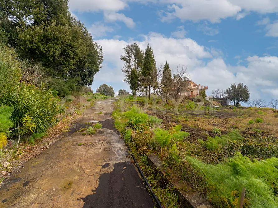 Immagine 35 di Terreno edificabile in vendita  in Via Nocille 55 a Mascali