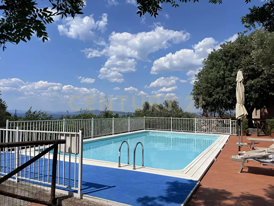 Immagine 48 di Trilocale in vendita  in Via della cacciarella a Monte Argentario