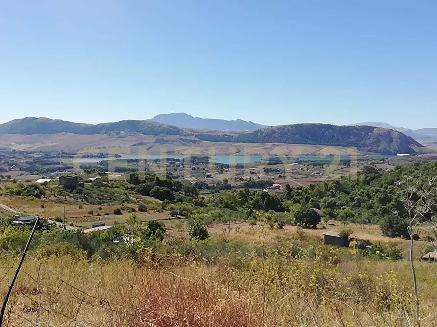 Immagine 1 di Terreno agricolo in vendita  in Contrada Saravulli San Mercurio snc a Piana Degli Albanesi