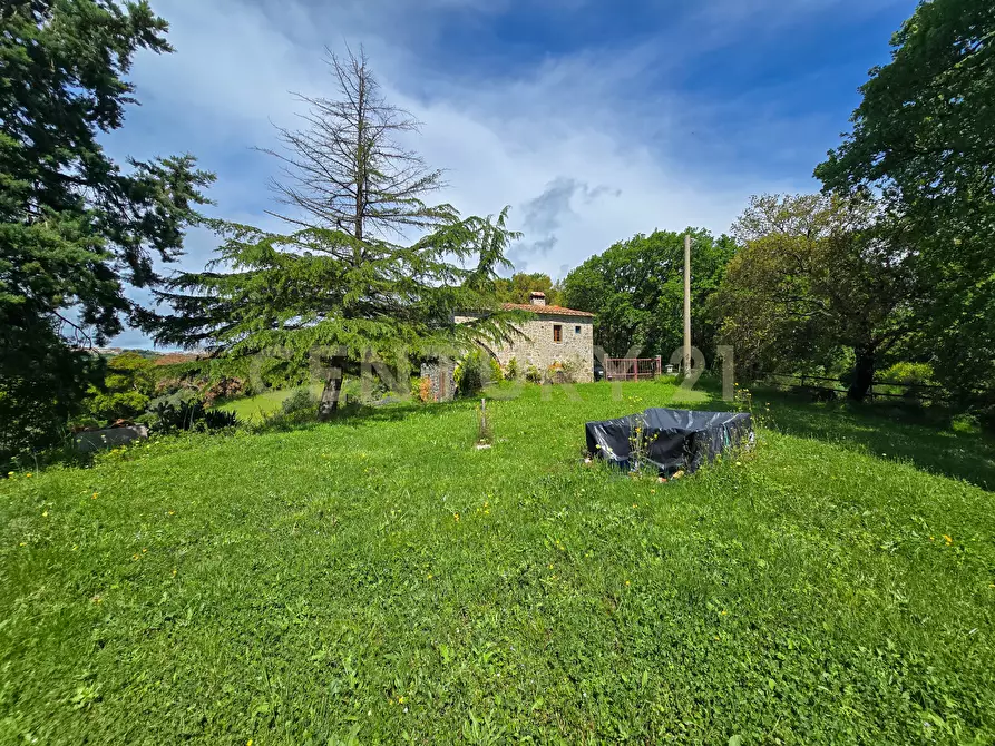 Immagine 25 di Rustico / casale in vendita  in podere le rocchette snc a Roccastrada
