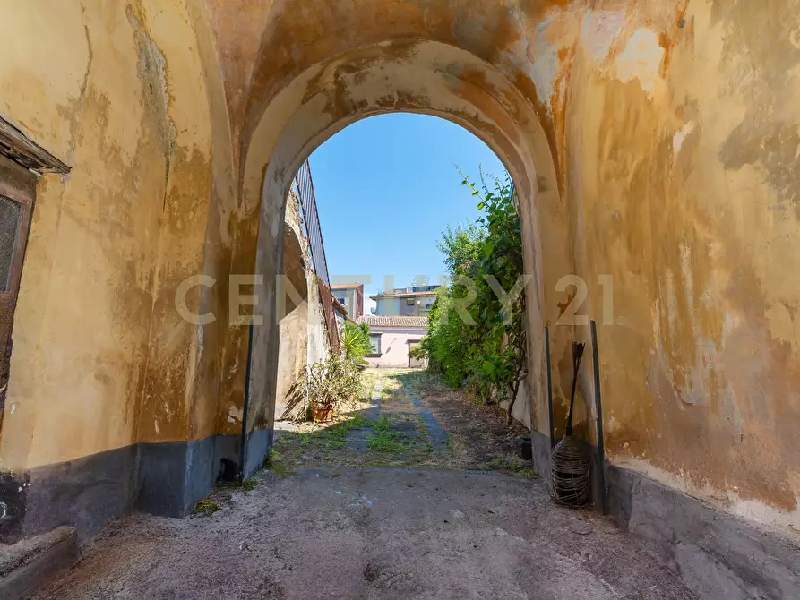 Immagine 6 di Villa in vendita  in Via Calvario 43 a Mascalucia