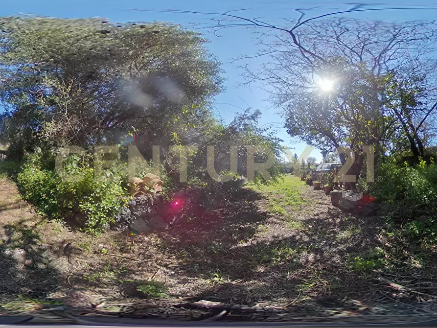 Immagine 111 di Villa in vendita  in Via Alcaloro Petrone 47 a Viagrande