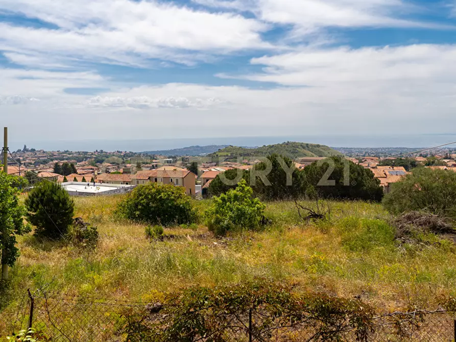 Immagine 63 di Villa in vendita  in Via San Giuseppe 63 a Pedara