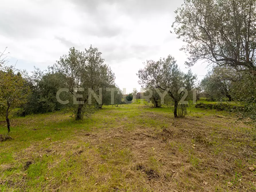 Immagine 37 di Casa indipendente in vendita  in Via Armando Diaz 83 a Zafferana Etnea